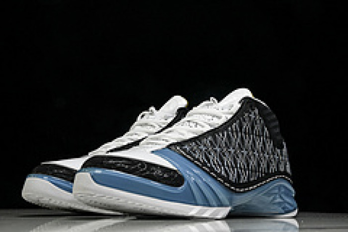 Air Jordan 23 UNC 318376-041