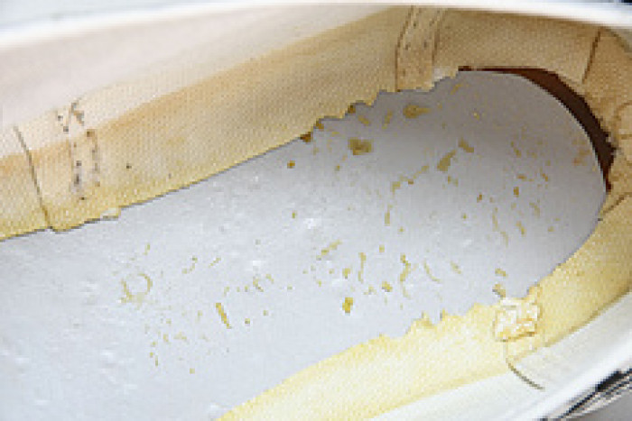 comme des garcons x authentic 