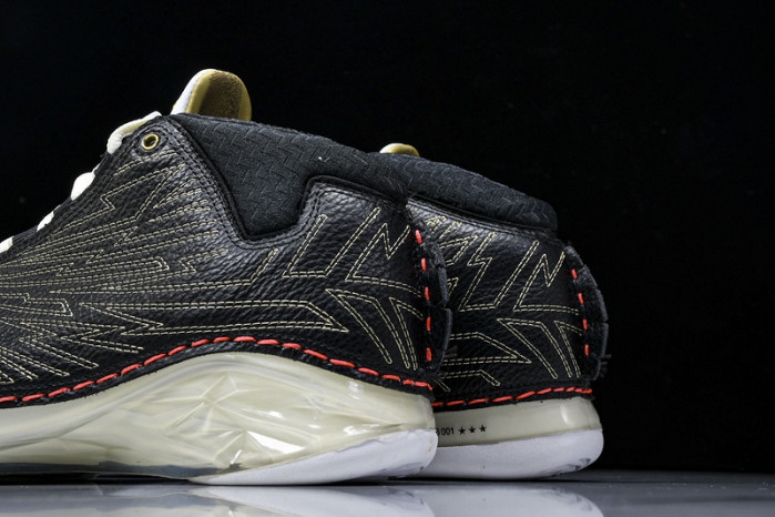 Titan x Air Jordan 23 CZ6222-001