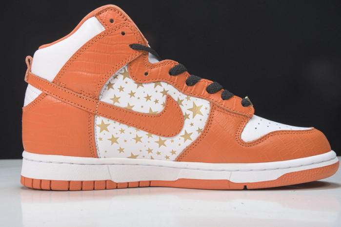 nike dunk sb low roller derby - 313170-601