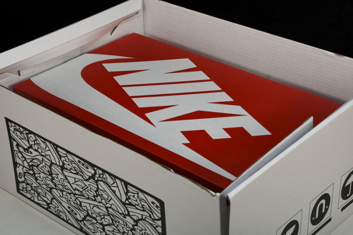 nike dunk low dd1391-100 xl