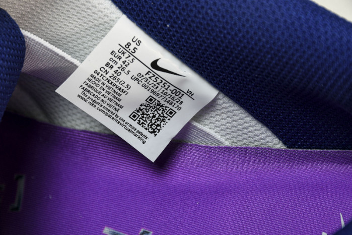 rayssa leal x nike dunk sb low fz5251-001