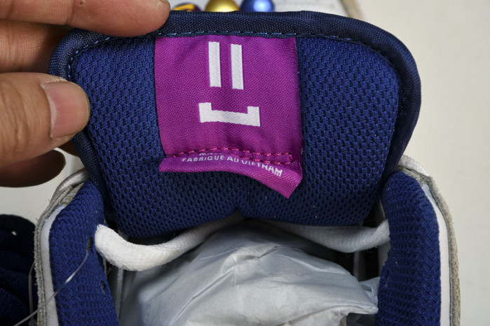 rayssa leal x nike dunk sb low fz5251-001