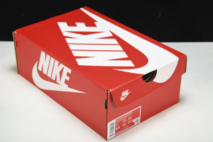 nike dunk low “lottery” dr9654-100