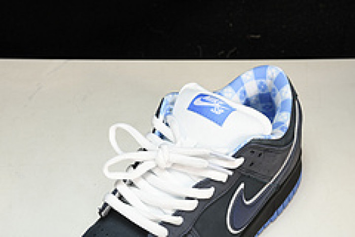 nike dunk sb low blue lobster 313170-342