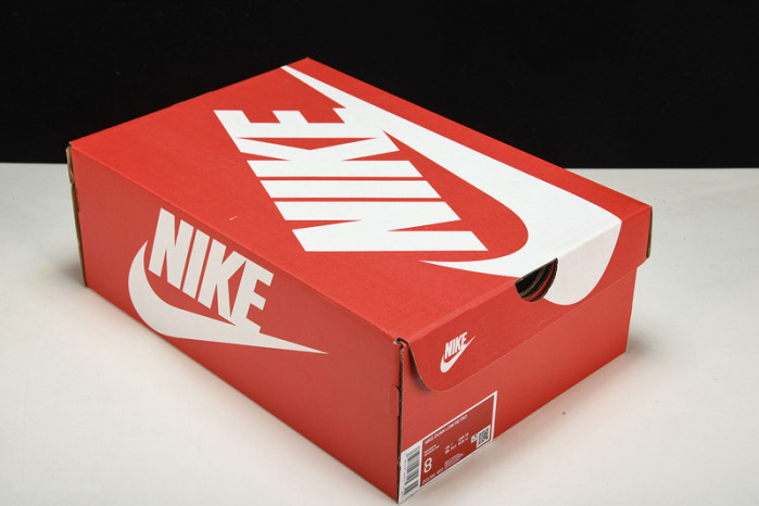 nike dunk low usc dd1391-602