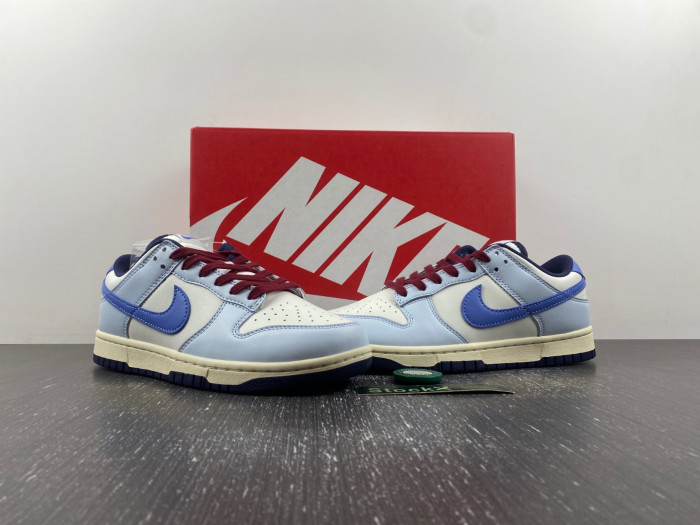 nike dunk low “from nike to you” fv8113-141