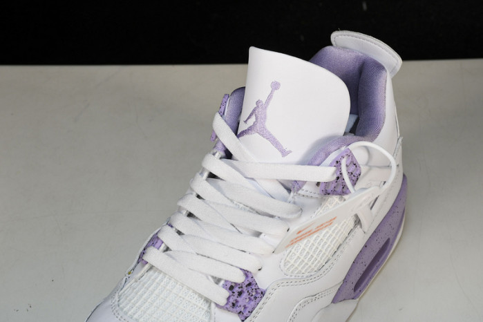 jordan 4 retro sb - ct8527-120