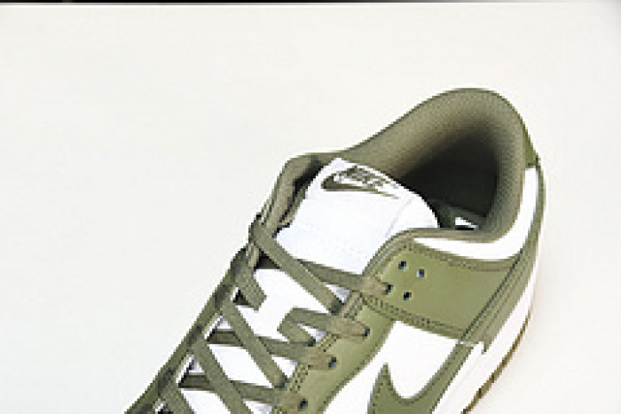 nike dunk low medium olive dd1503-120